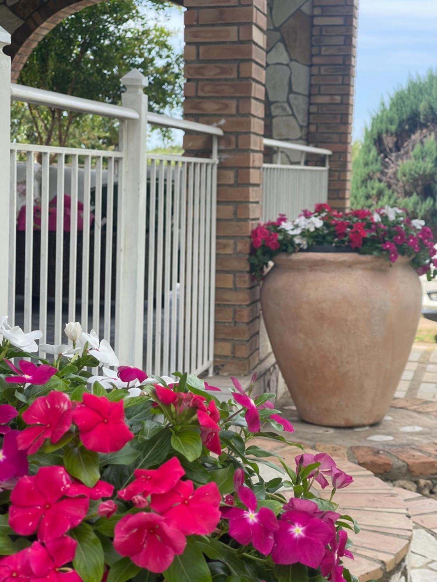 Mama’s Sunshine Garden Villa Agios Ilias  Exterior foto